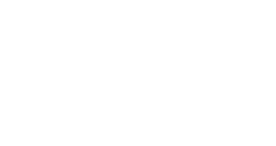 FOX VAPE